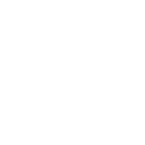 icons-family